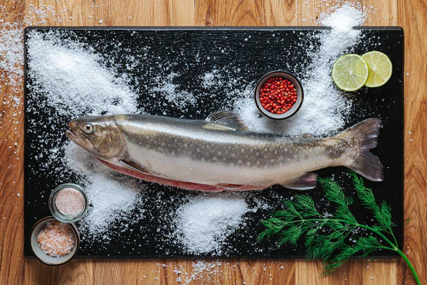 Fangfrischer Ausseer Saibling