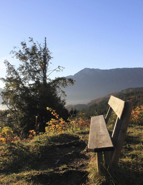 Genießen Sie die Aussicht bei einer Wanderung auf dem Pflinsberg